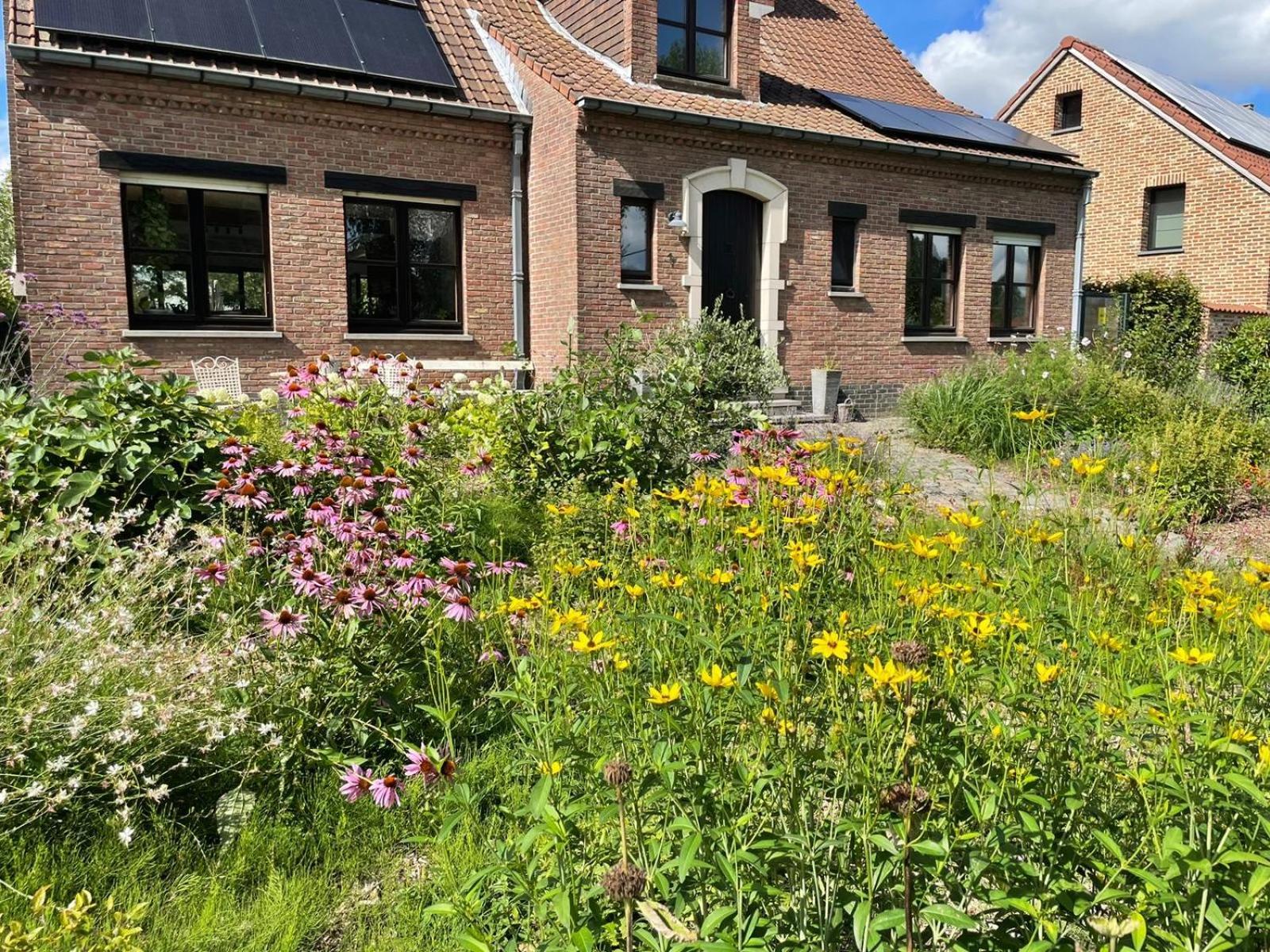 B&B Den Biesthoek Grimbergen Exterior foto